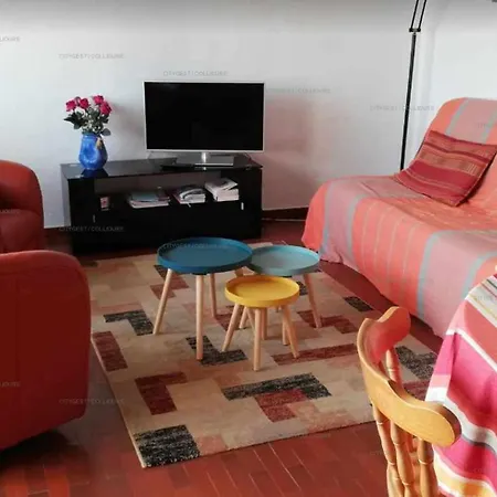 5Vse-Lam4 Appartement Faubourg T2 Proche Plage Vue Degagee Collioure Exterior photo