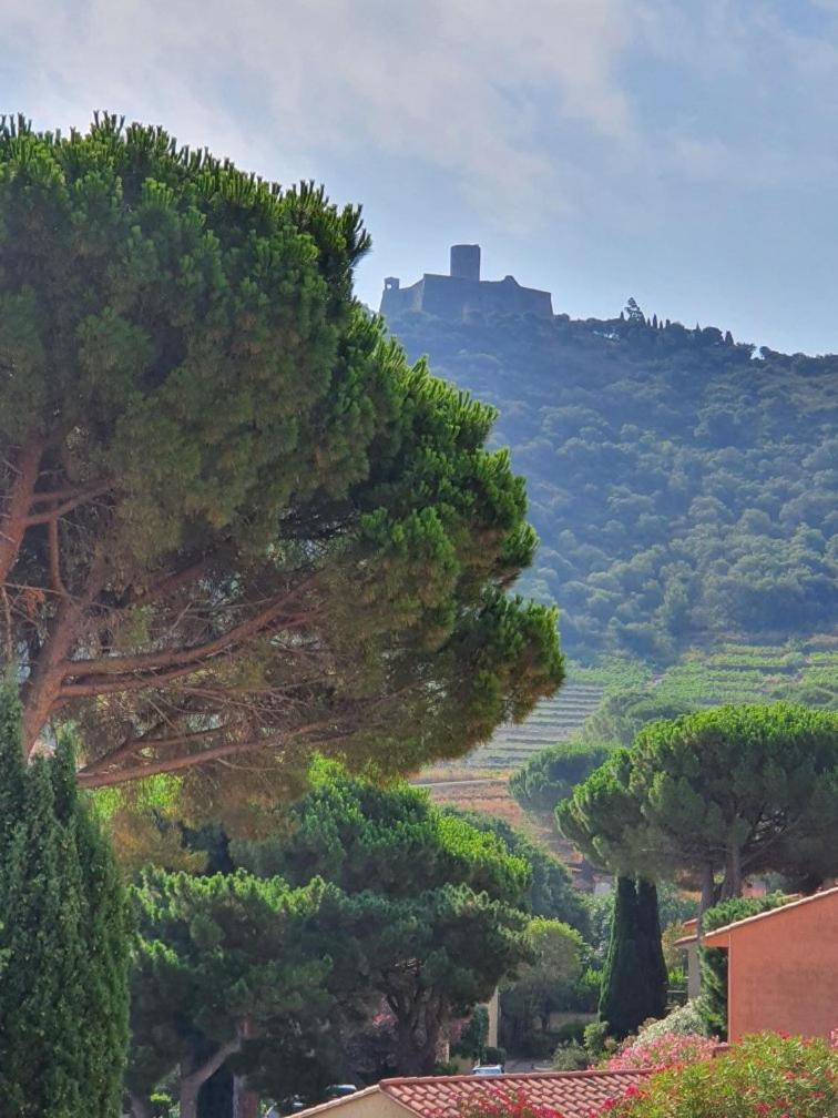 5vse-lam4 Faubourg T2 Proche Vue Degagee * Collioure